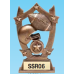 Resin Trophies - #Sport Stars 6.25" Resin Sports Awards